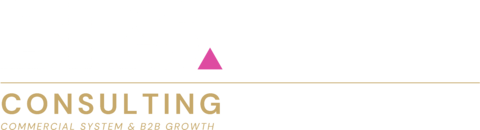 BRS Consulting — Commercial System & B2B Growth