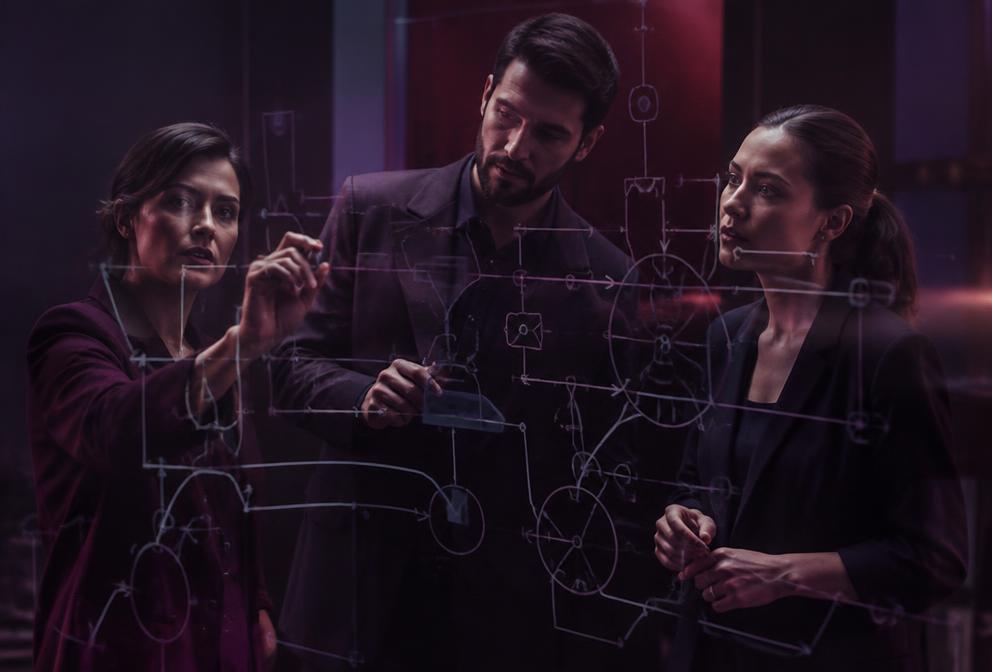 Consultores diseñando un sistema especializado